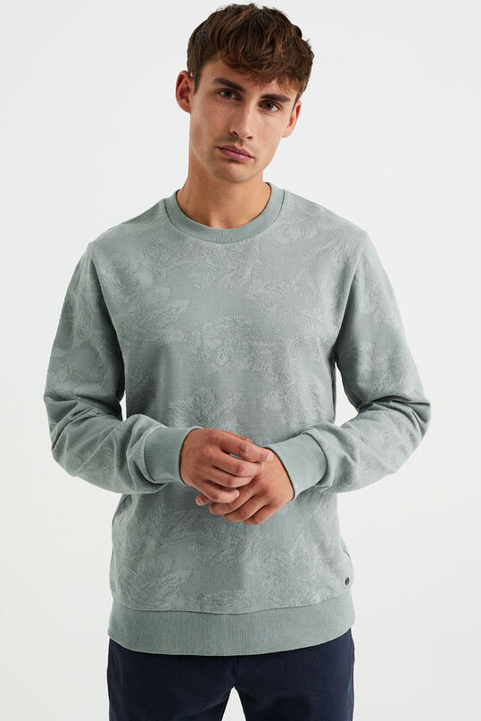 Sweat-shirt à motif homme, Vert gris