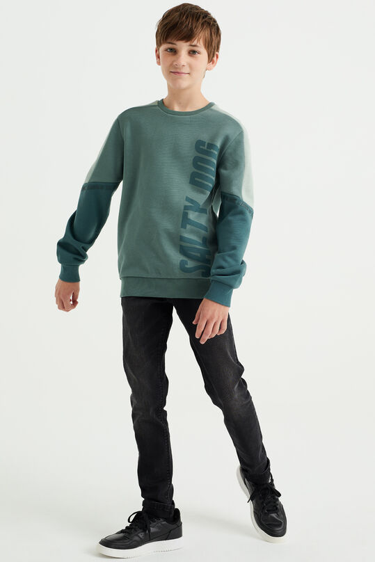 Sweat-shirt à bloc de couleur garçon, Vert
