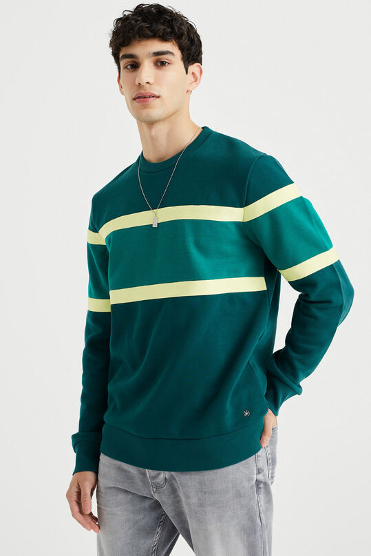 Sweat-shirt homme à bloc de couleur, Vert