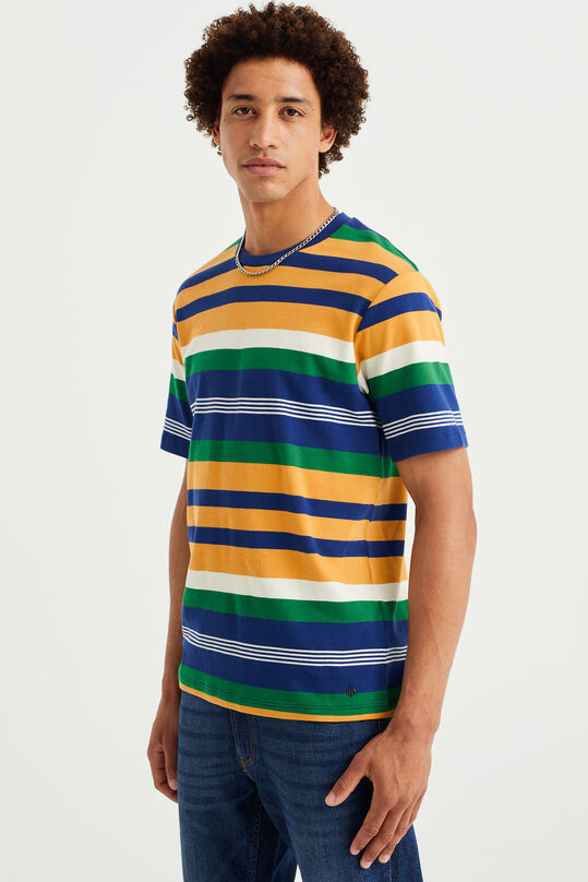 T-shirt à motif homme, Multicolore